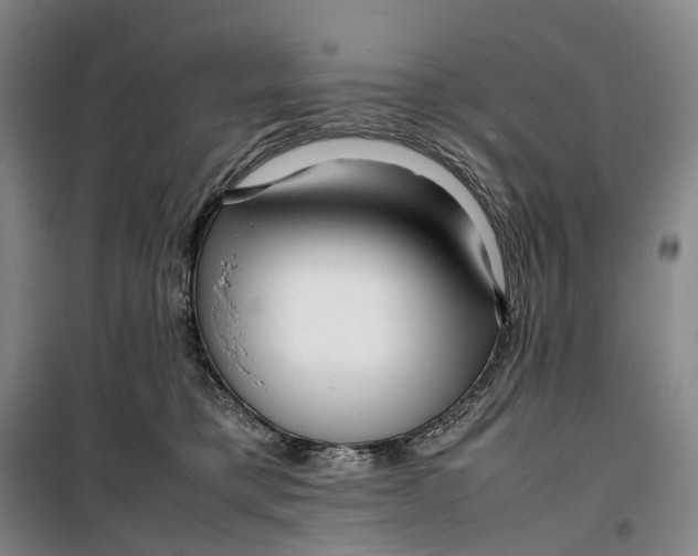 X0000099460421200805301538