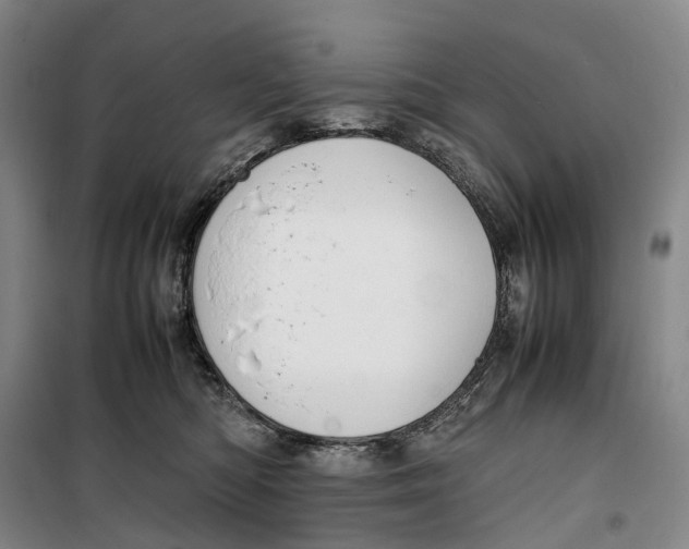 X0000099460422200805301538