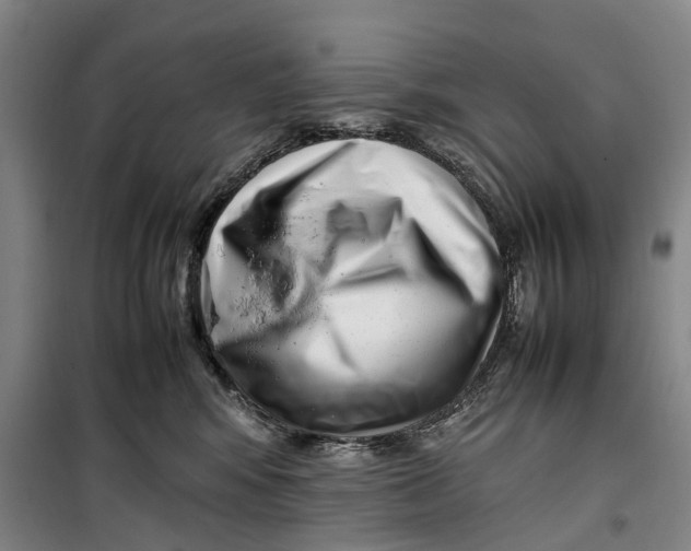 X0000099460424200805301538