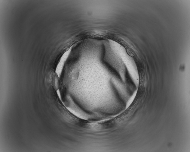 X0000099460425200805301538