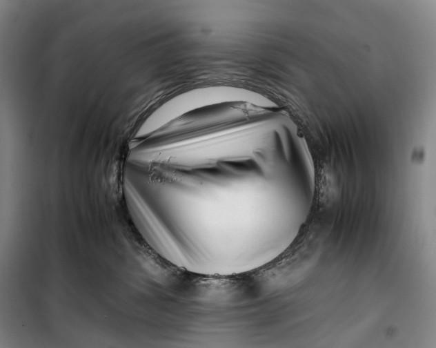 X0000099460428200805301538