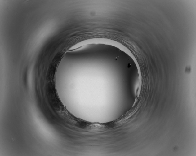 X0000099460429200805301538