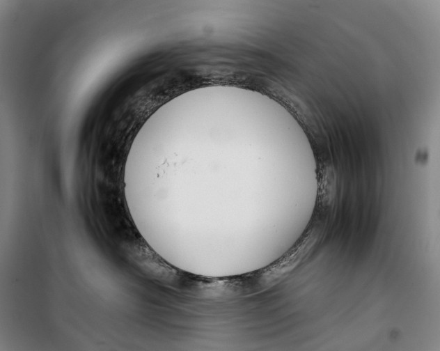 X0000099460430200805301538