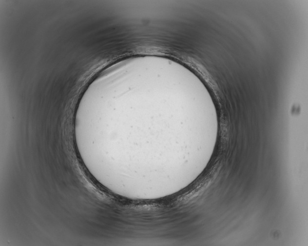 X0000099460433200805301538