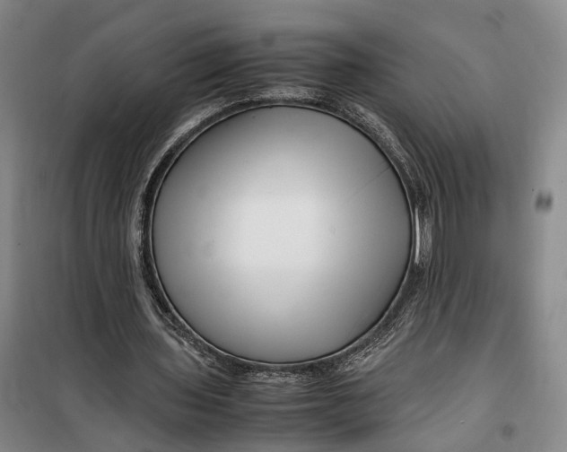 X0000099460435200805301538