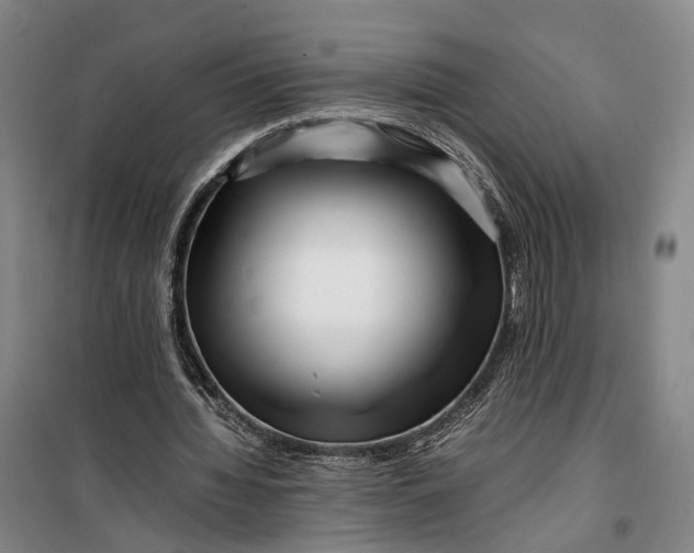 X0000099460436200805301538