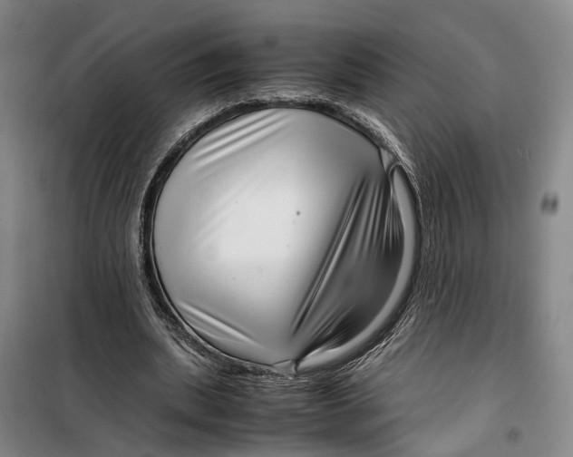 X0000099460439200805301538