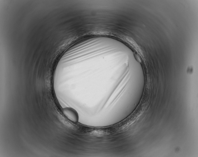 X0000099460441200805301538