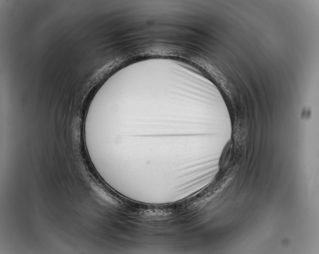 X0000099460445200805301538