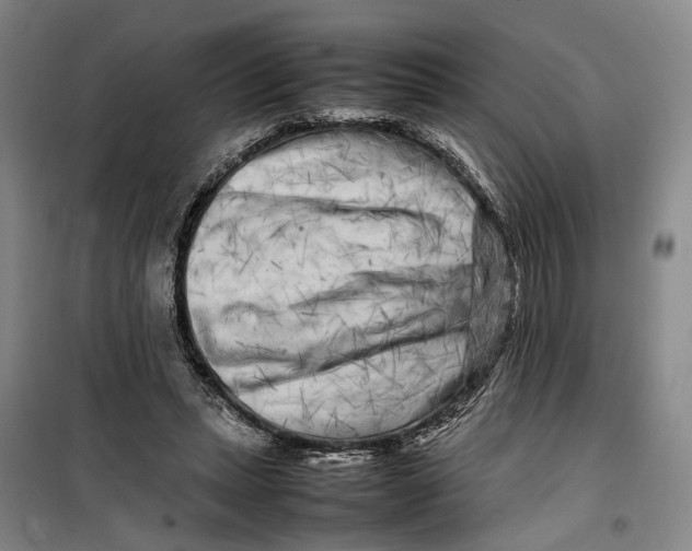 X0000099460447200805301538