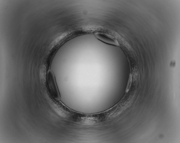 X0000099460448200805301538