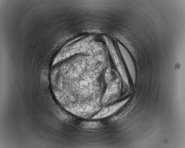 X0000099460449200805301538