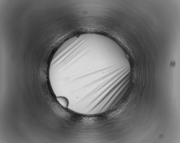 X0000099460450200805301538