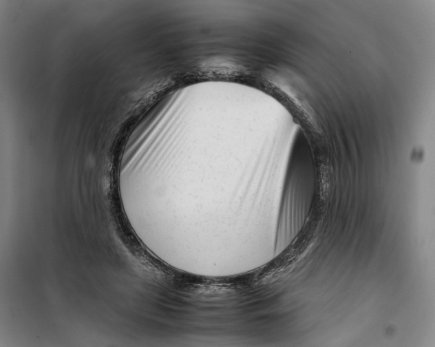 X0000099460451200805301538