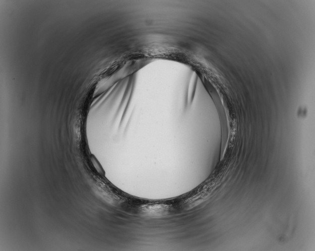 X0000099460452200805301538