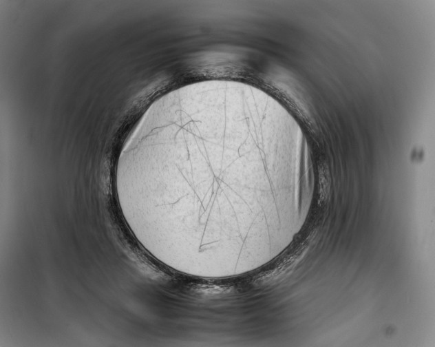 X0000099460453200805301538