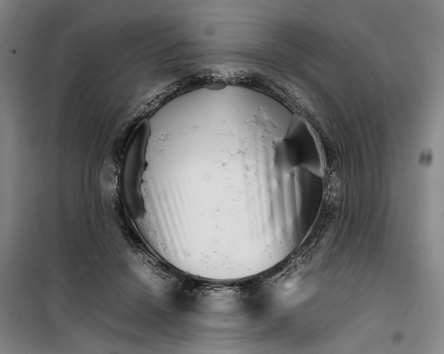 X0000099460456200805301538