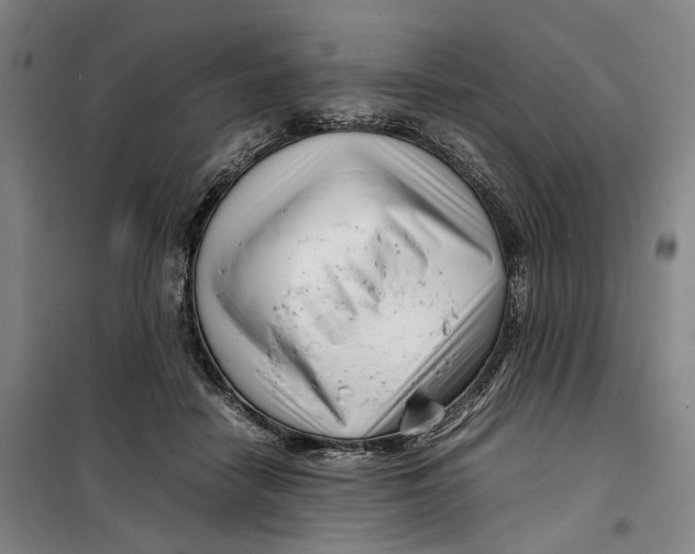 X0000099460458200805301538