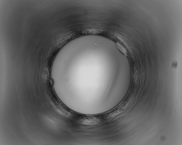 X0000099460459200805301538