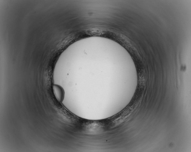 X0000099460460200805301538