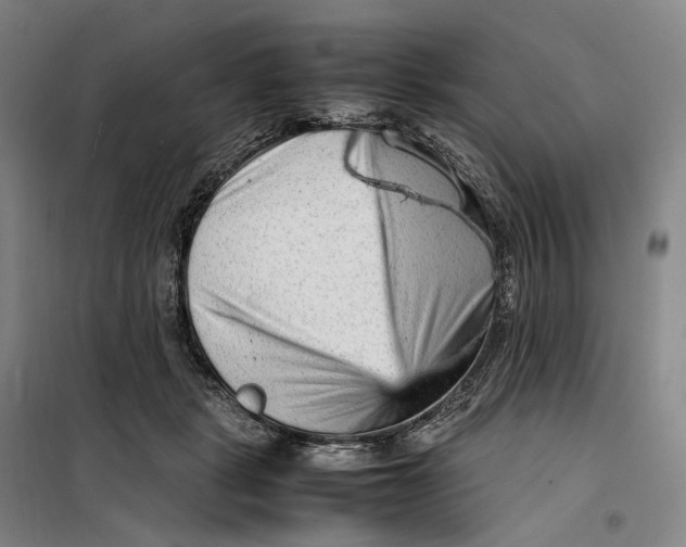 X0000099460461200805301538