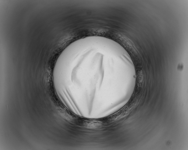 X0000099460463200805301538