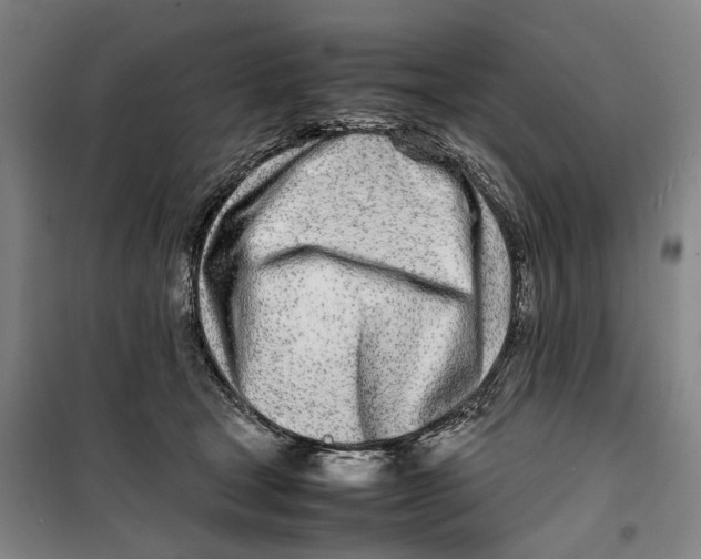 X0000099460465200805301538