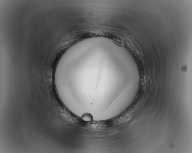 X0000099460466200805301538