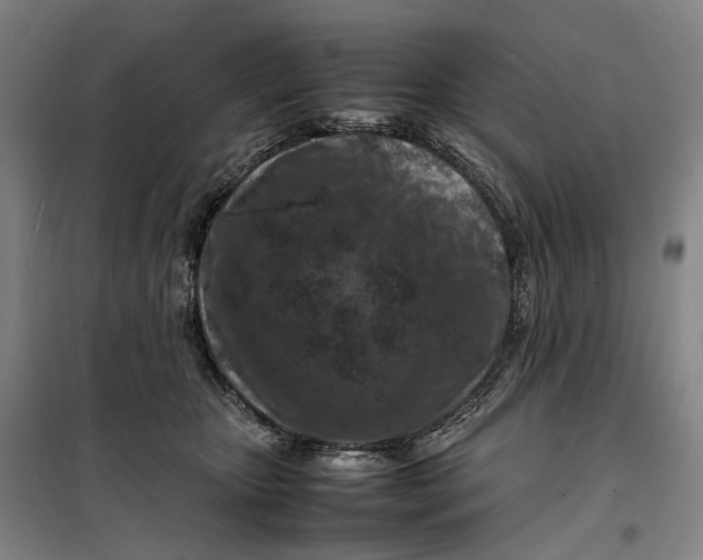 X0000099460467200805301538