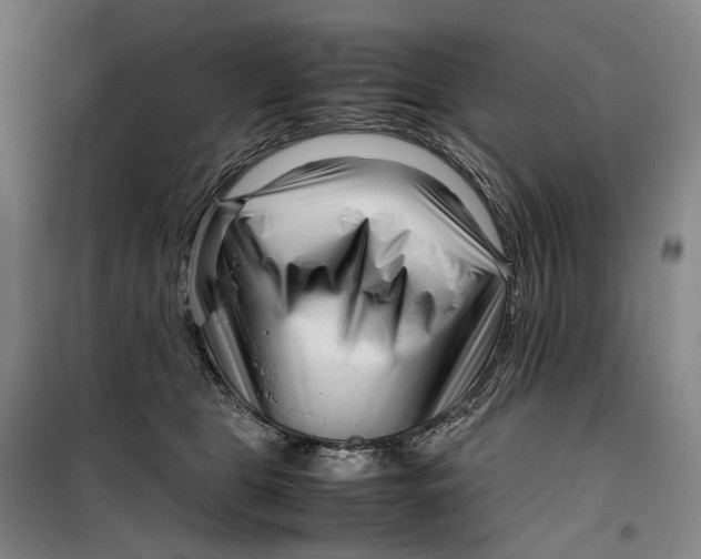 X0000099460469200805301538