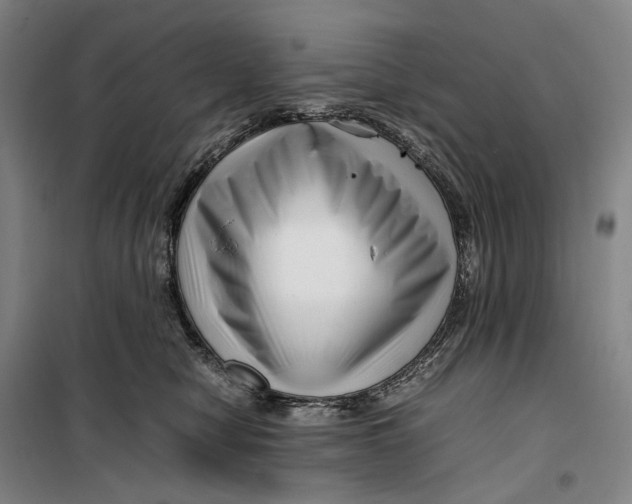 X0000099460470200805301538