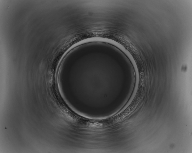 X0000099460471200805301538