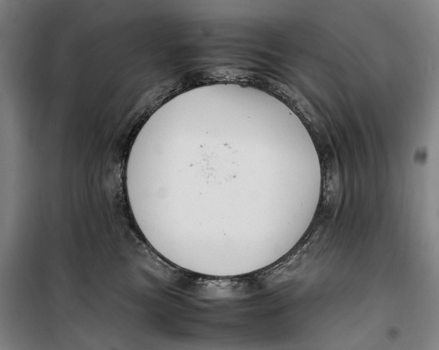 X0000099460473200805301538