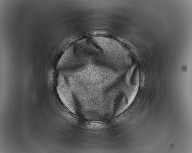 X0000099460475200805301538