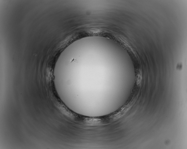 X0000099460476200805301538