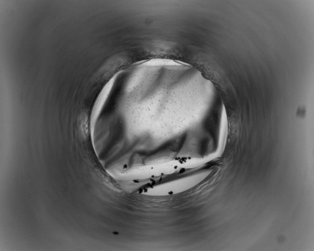 X0000099460479200805301538