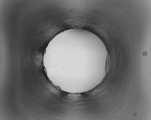 X0000099460480200805301538