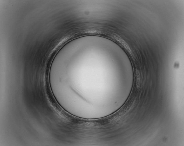 X0000099460482200805301538