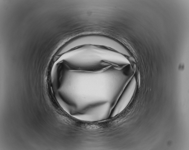 X0000099460483200805301537