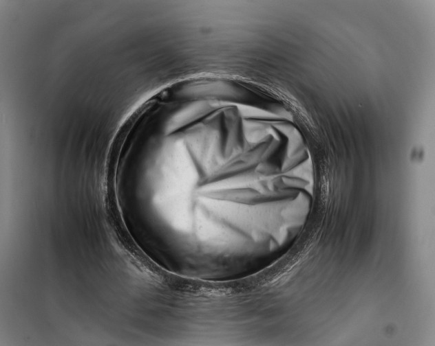 X0000099460484200805301537