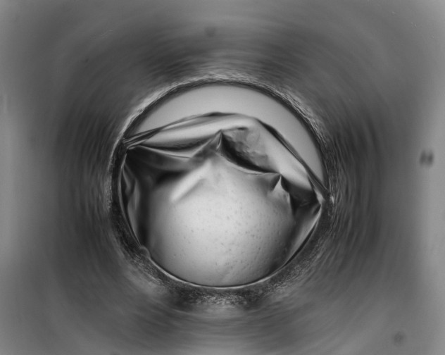 X0000099460488200805301537