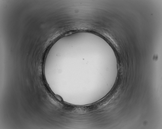 X0000099460489200805301537