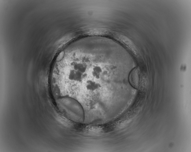 X0000099460491200805301537