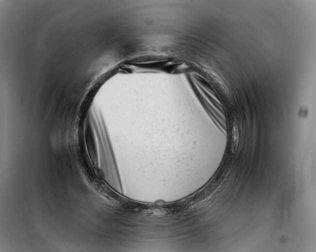 X0000099460492200805301537