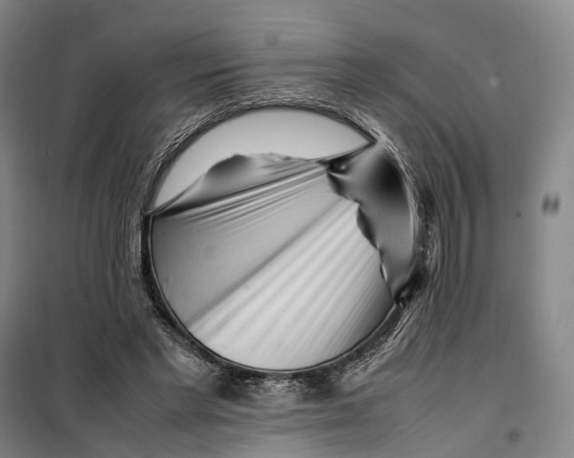 X0000099460493200805301537