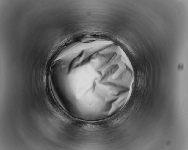 X0000099460494200805301537