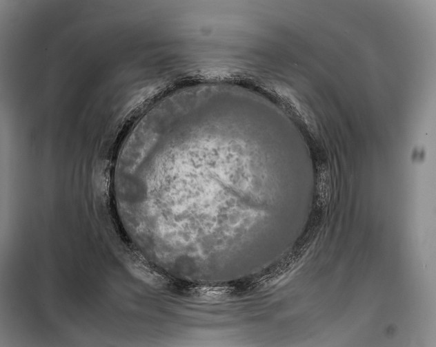 X0000099460495200805301537