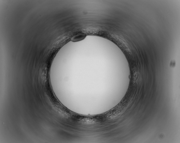 X0000099460498200805301537