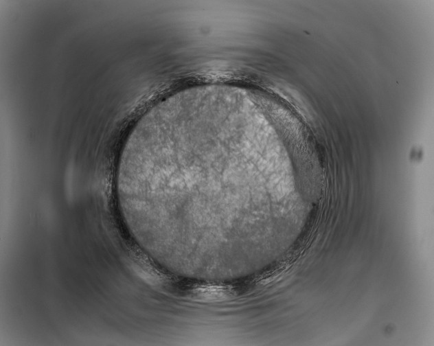 X0000099460499200805301537