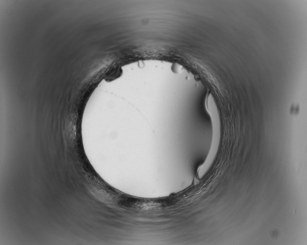 X0000099460501200805301537